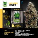 IGROWCAN - Sweet Mango Auto